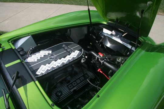 FFR Snake Skin Green Cobra