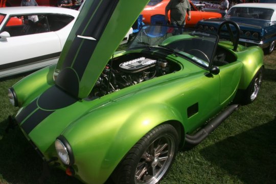 FFR Snake Skin Green Cobra