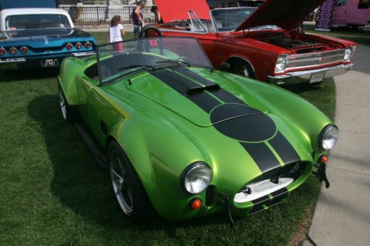 FFR Snake Skin Green Cobra