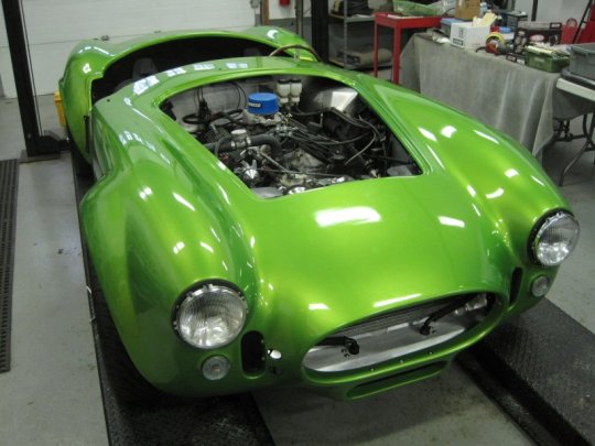 FFR Snake Skin Green Cobra