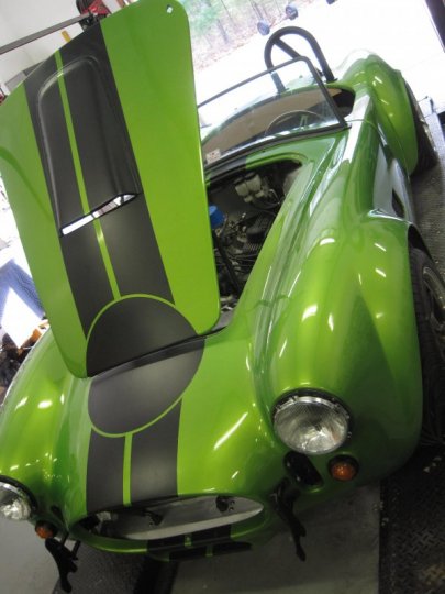 FFR Snake Skin Green Cobra